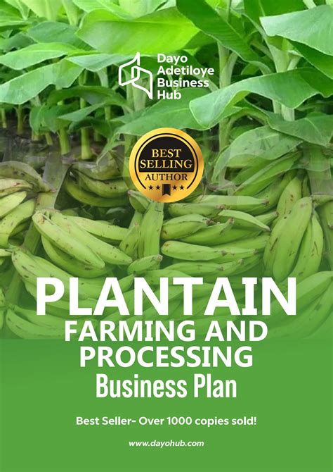 Plantain Farming Business Plan